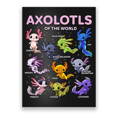Axolotl Kawaii Axolotls Of The World Axolotl Animals Poster