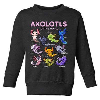 Axolotl Kawaii Axolotls Of The World Axolotl Animals Toddler Sweatshirt