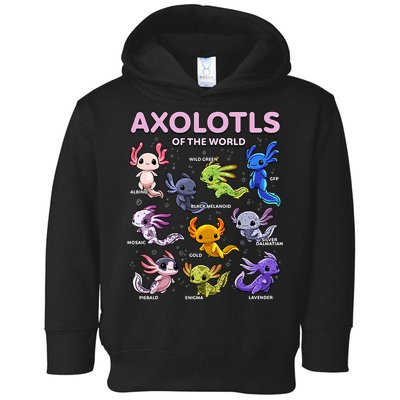 Axolotl Kawaii Axolotls Of The World Axolotl Animals Toddler Hoodie