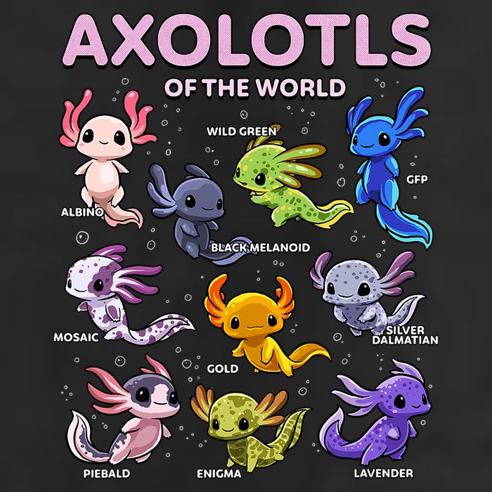 Axolotl Kawaii Axolotls Of The World Axolotl Animals Microfiber Hand Towel