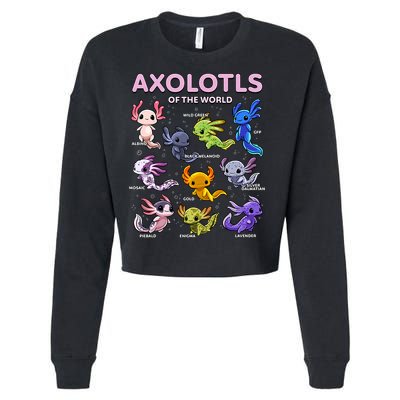 Axolotl Kawaii Axolotls Of The World Axolotl Animals Cropped Pullover Crew