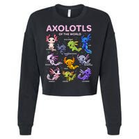 Axolotl Kawaii Axolotls Of The World Axolotl Animals Cropped Pullover Crew
