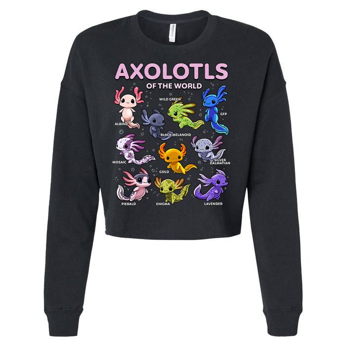 Axolotl Kawaii Axolotls Of The World Axolotl Animals Cropped Pullover Crew