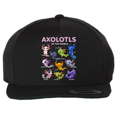 Axolotl Kawaii Axolotls Of The World Axolotl Animals Wool Snapback Cap