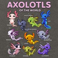 Axolotl Kawaii Axolotls Of The World Axolotl Animals Cotton Canvas Backpack