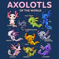 Axolotl Kawaii Axolotls Of The World Axolotl Animals Infant Baby Jersey Bodysuit