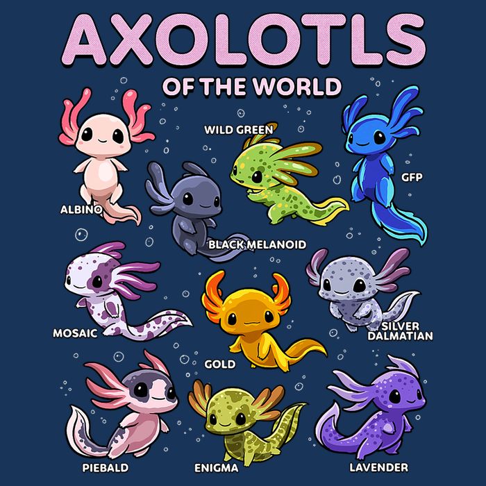 Axolotl Kawaii Axolotls Of The World Axolotl Animals Infant Baby Jersey Bodysuit
