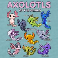 Axolotl Kawaii Axolotls Of The World Axolotl Animals Sueded Cloud Jersey T-Shirt