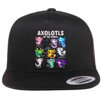 Axolotl Kawaii Axolotls Of The World Axolotl Animals Flat Bill Trucker Hat