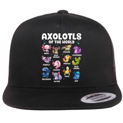 Axolotl Kawaii Axolotls Of The World Axolotl Animals Flat Bill Trucker Hat