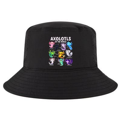 Axolotl Kawaii Axolotls Of The World Axolotl Animals Cool Comfort Performance Bucket Hat
