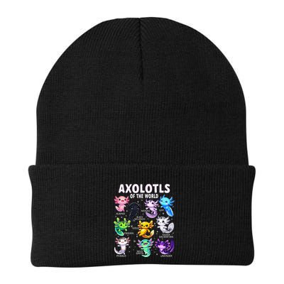 Axolotl Kawaii Axolotls Of The World Axolotl Animals Beanie