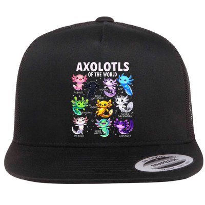 Axolotl Kawaii Axolotls Of The World Axolotl Animals Flatbill Hat