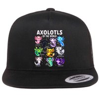 Axolotl Kawaii Axolotls Of The World Axolotl Animals Flatbill Hat