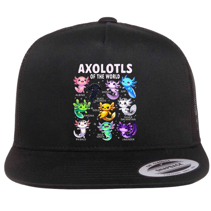 Axolotl Kawaii Axolotls Of The World Axolotl Animals Flatbill Hat