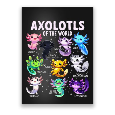 Axolotl Kawaii Axolotls Of The World Axolotl Animals Poster