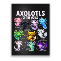 Axolotl Kawaii Axolotls Of The World Axolotl Animals Poster