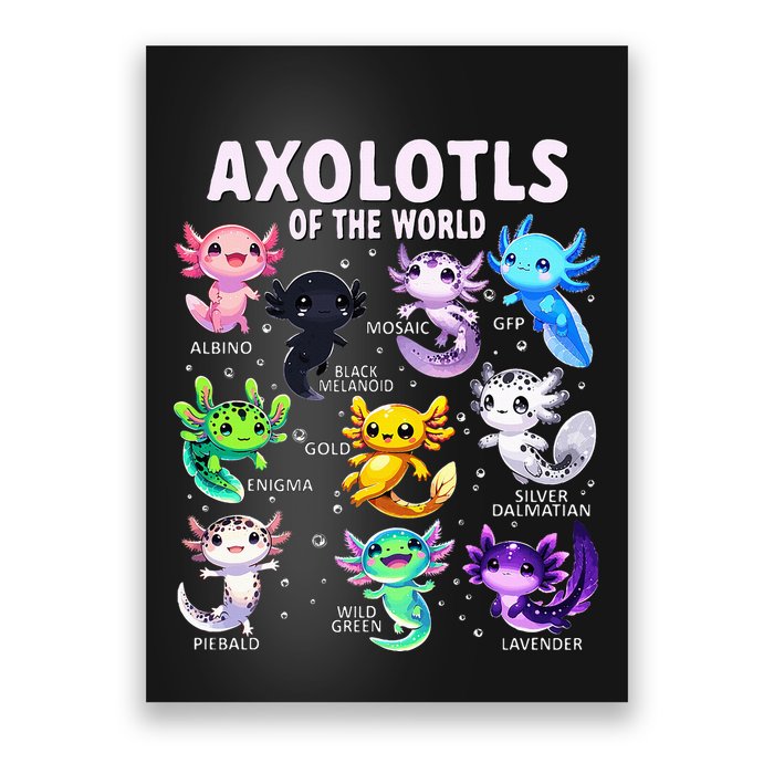 Axolotl Kawaii Axolotls Of The World Axolotl Animals Poster