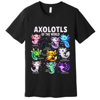 Axolotl Kawaii Axolotls Of The World Axolotl Animals Premium T-Shirt