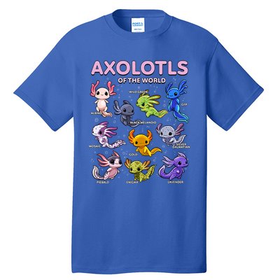 Axolotl Kawaii Axolotls Of The World Axolotl Animals Tall T-Shirt