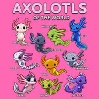 Axolotl Kawaii Axolotls Of The World Axolotl Animals Stripe Pom Pom Beanie