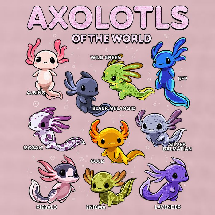 Axolotl Kawaii Axolotls Of The World Axolotl Animals 25L Jumbo Tote
