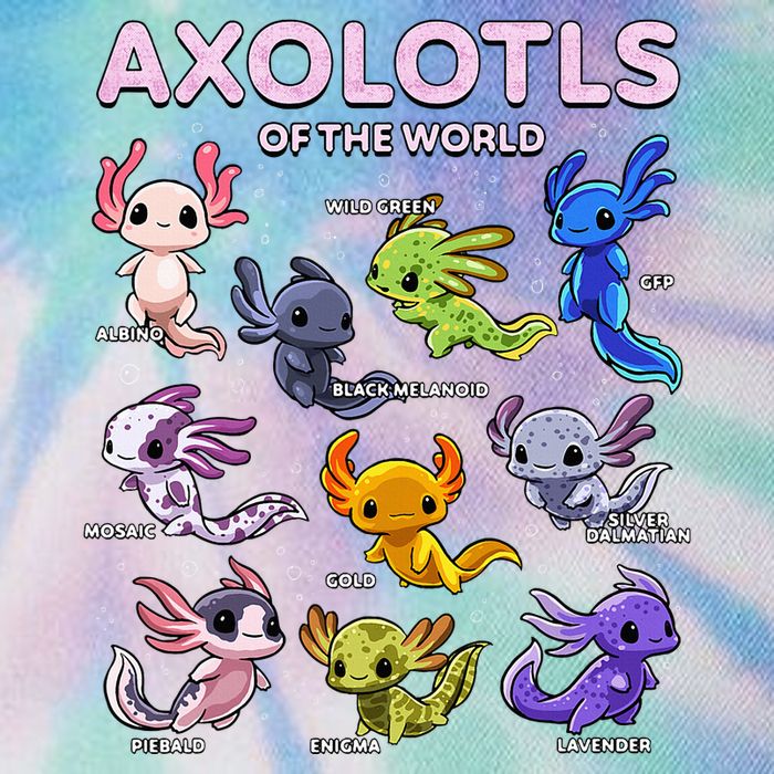 Axolotl Kawaii Axolotls Of The World Axolotl Animals Legacy Tie Dye Trucker Hat
