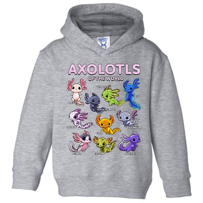 Axolotl Kawaii Axolotls Of The World Axolotl Animals Toddler Hoodie