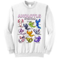 Axolotl Kawaii Axolotls Of The World Axolotl Animals Sweatshirt