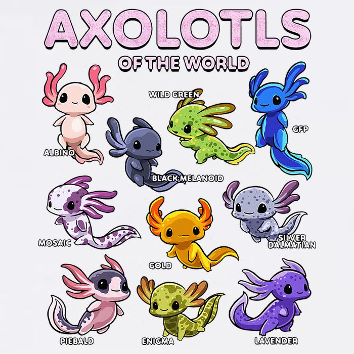 Axolotl Kawaii Axolotls Of The World Axolotl Animals T-Shirt