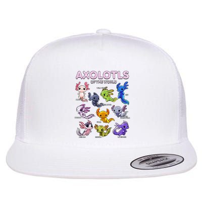 Axolotl Kawaii Axolotls Of The World Axolotl Animals Flatbill Hat