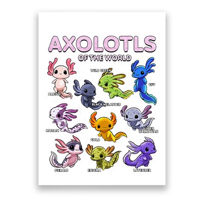 Axolotl Kawaii Axolotls Of The World Axolotl Animals Poster
