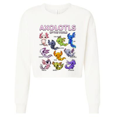 Axolotl Kawaii Axolotls Of The World Axolotl Animals Cropped Pullover Crew