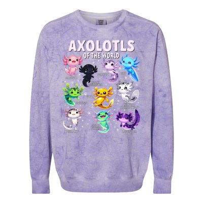 Axolotl Kawaii Axolotls Of The World Axolotl Animals Colorblast Crewneck Sweatshirt