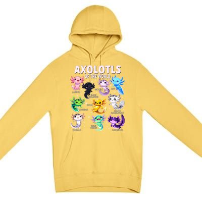 Axolotl Kawaii Axolotls Of The World Axolotl Animals Premium Pullover Hoodie