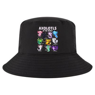 Axolotl Kawaii Axolotls Of The World Axolotl Animals Cool Comfort Performance Bucket Hat