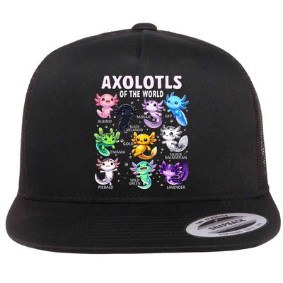 Axolotl Kawaii Axolotls Of The World Axolotl Animals Flatbill Hat