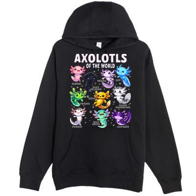 Axolotl Kawaii Axolotls Of The World Axolotl Animals Premium Pullover Hoodie