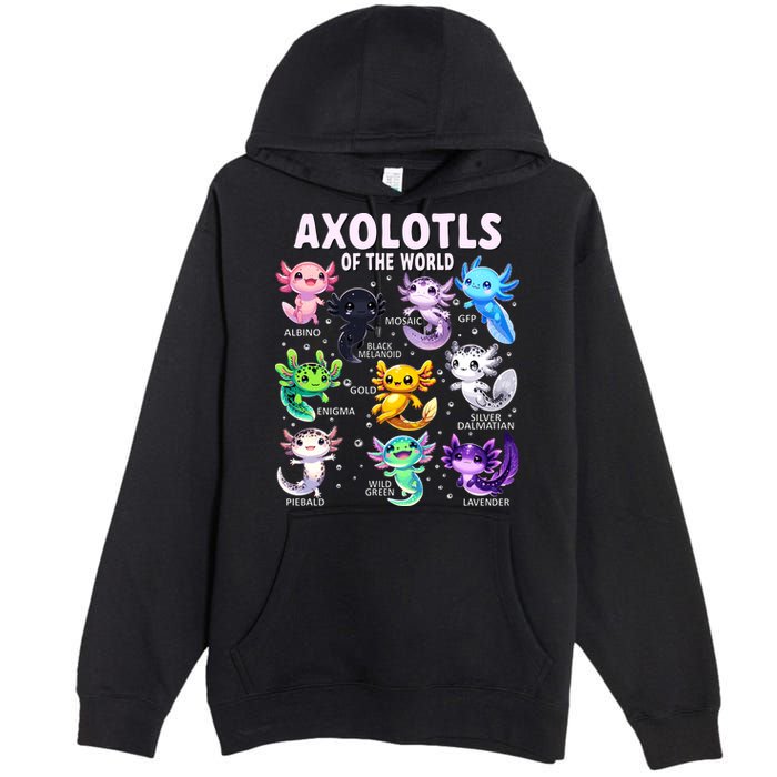 Axolotl Kawaii Axolotls Of The World Axolotl Animals Premium Pullover Hoodie