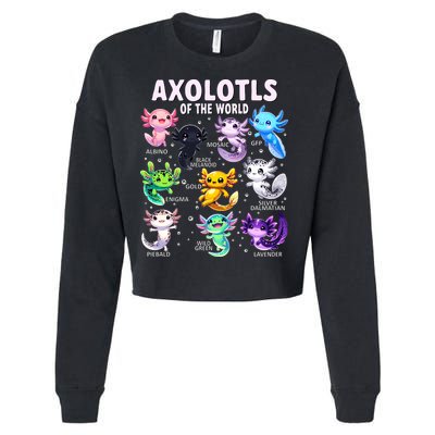 Axolotl Kawaii Axolotls Of The World Axolotl Animals Cropped Pullover Crew