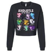Axolotl Kawaii Axolotls Of The World Axolotl Animals Cropped Pullover Crew