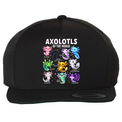 Axolotl Kawaii Axolotls Of The World Axolotl Animals Wool Snapback Cap