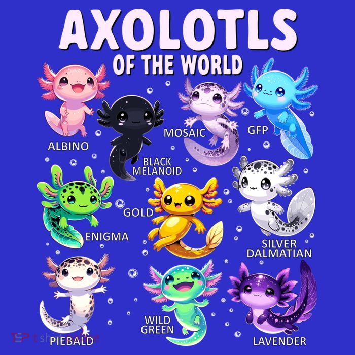 Axolotl Kawaii Axolotls Of The World Axolotl Animals Sweatshirt