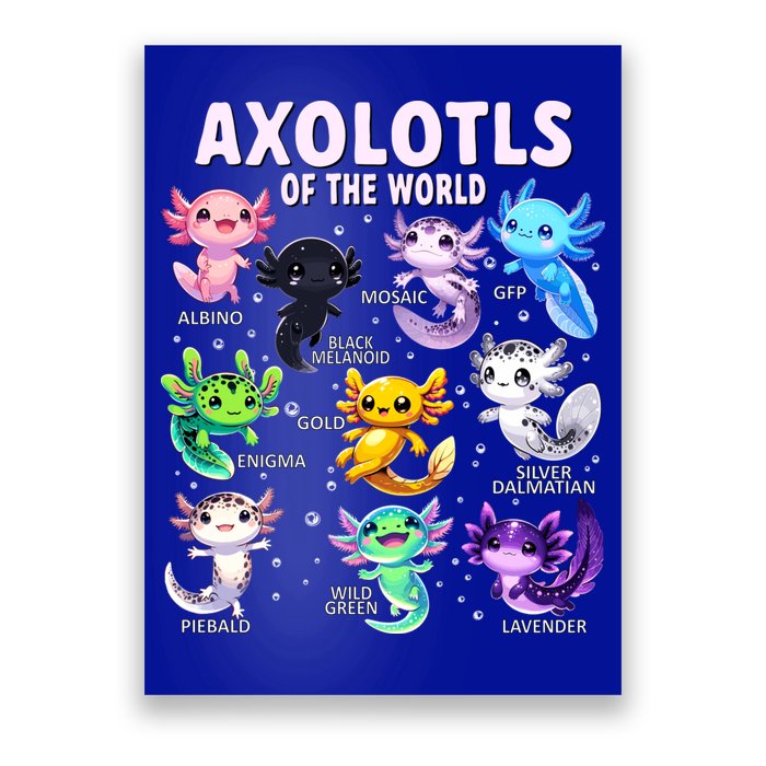 Axolotl Kawaii Axolotls Of The World Axolotl Animals Poster