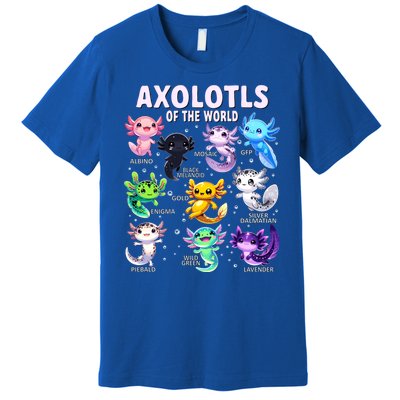 Axolotl Kawaii Axolotls Of The World Axolotl Animals Premium T-Shirt