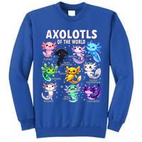 Axolotl Kawaii Axolotls Of The World Axolotl Animals Tall Sweatshirt