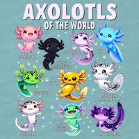 Axolotl Kawaii Axolotls Of The World Axolotl Animals Sueded Cloud Jersey T-Shirt