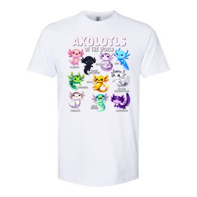 Axolotl Kawaii Axolotls Of The World Axolotl Animals Softstyle CVC T-Shirt