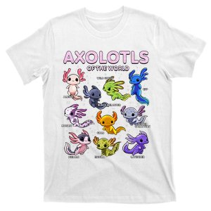 Axolotl Kawaii Axolotls Of The World Axolotl Animals T-Shirt