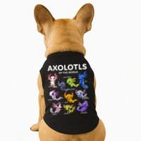 Axolotl Kawaii Axolotls Of The World Axolotl Animals Doggie Tank